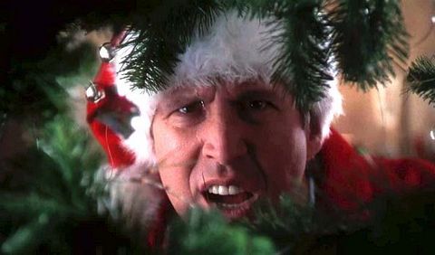christmas-vacation-movie-cast-quotes-facts-1543601630.jpg