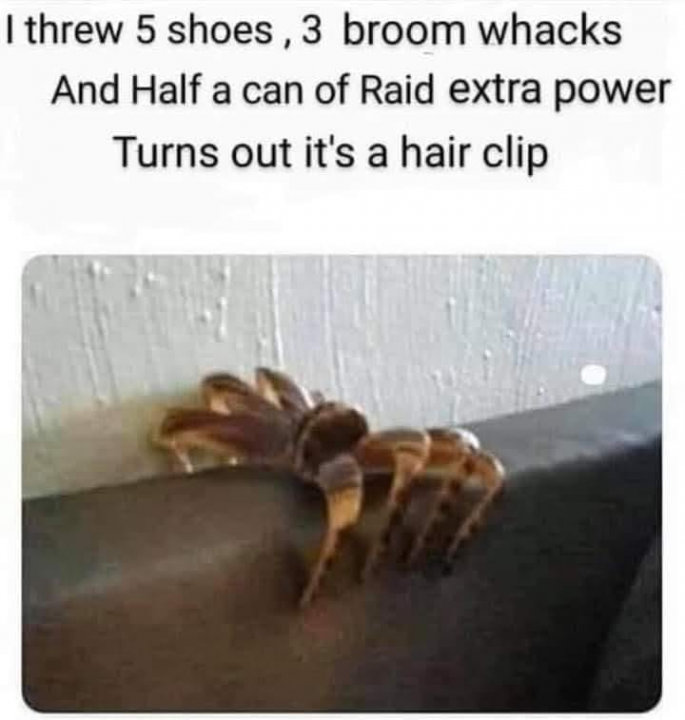 clip.png
