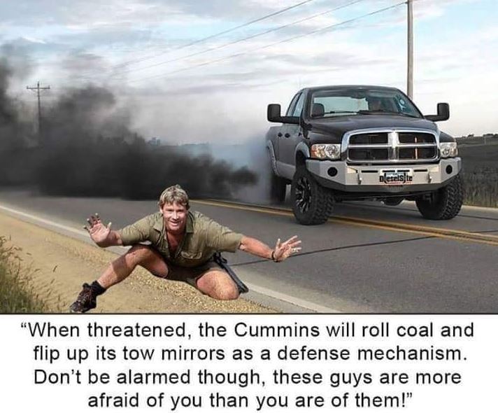 COAL.JPG