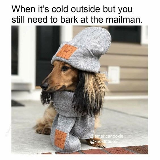 cold.jpg