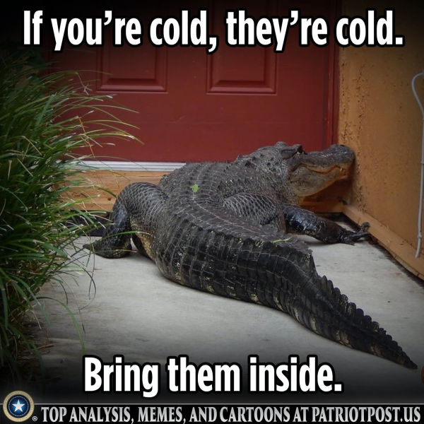 cold.png