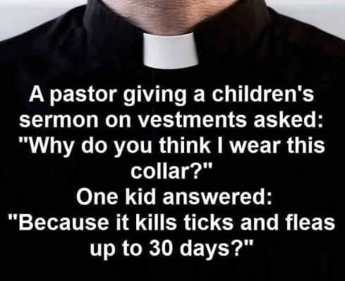 collar.png