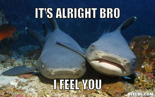 compassionate-shark-friend-meme-generator-it-s-alright-bro-i-feel-you-02ec63.jpg