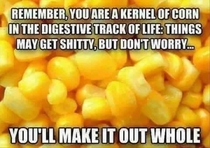 corn.jpg