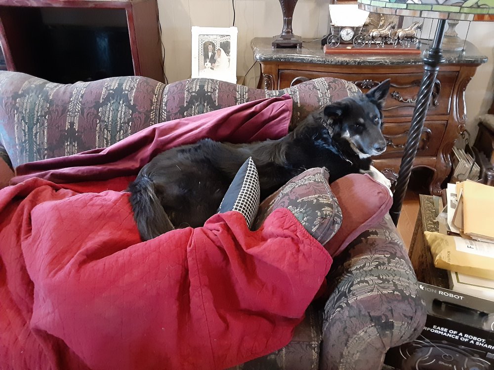 couch.jpg