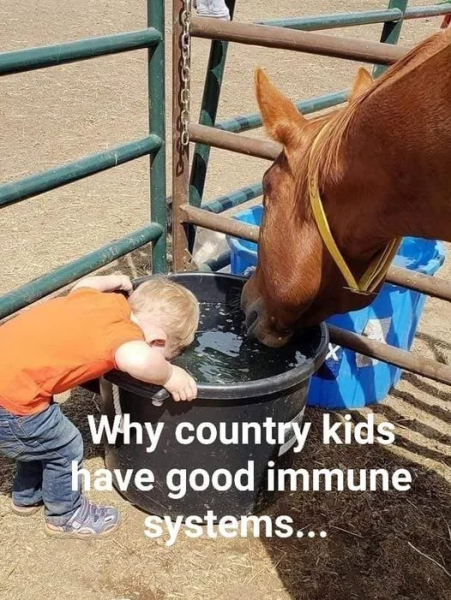 country.png