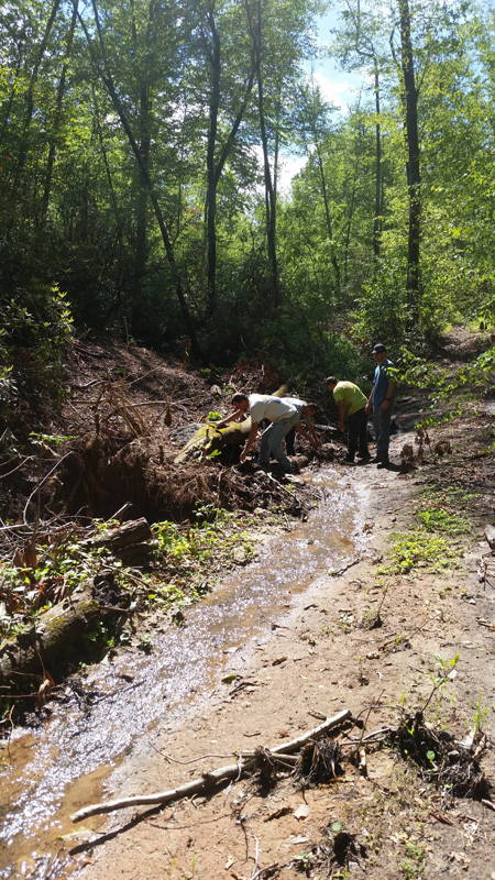 creek out in trail.jpg
