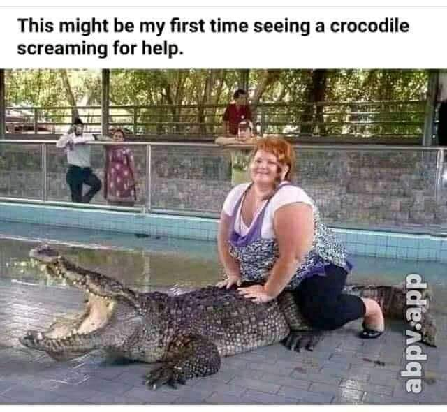 croc.png