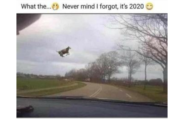 D6BC4813-E49D-43C8-88BD-D26CC5CBA4D4.jpeg