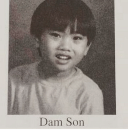 dam-son-41091003.png