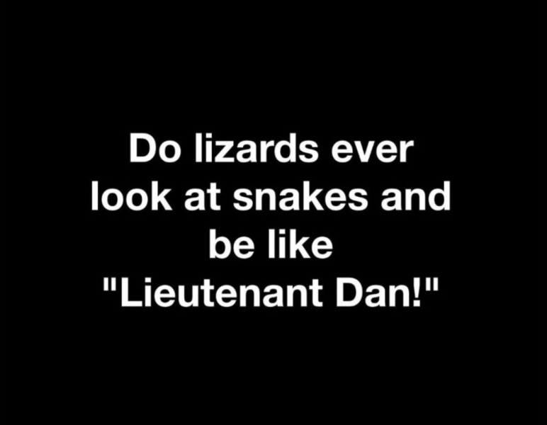 dan.png