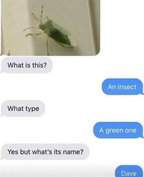 dave.jpeg