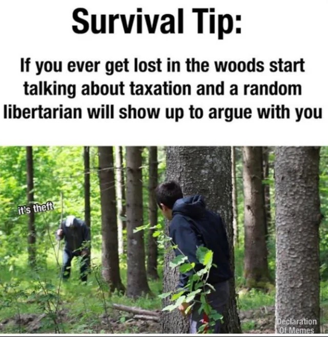 DDD4D885-8F27-4D99-82A0-37F950F9BD33.jpeg
