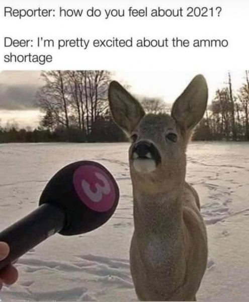 deer.jpg