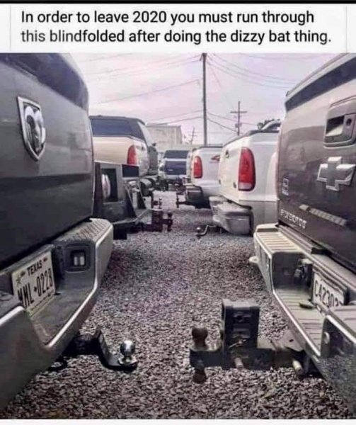 dizzy bat.jpg
