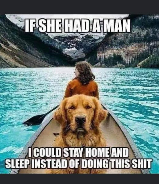 dog.jpeg