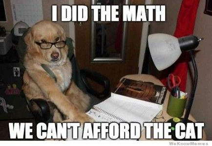 dog math.png