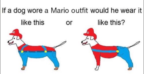 dog-wore-pants-meme-mario.jpg