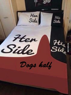 dogs bed.jpg