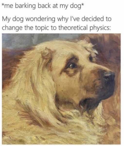 dogs.jpg