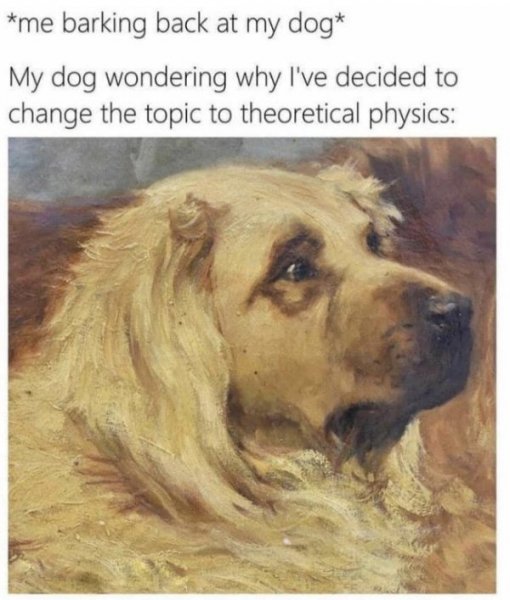 dogs.jpg