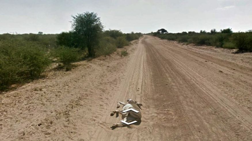 Donkey down google maps.jpg