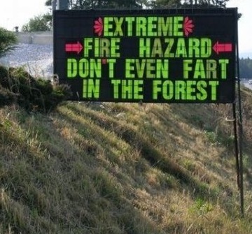 -dont-even-fart-in-the-forest.jpg