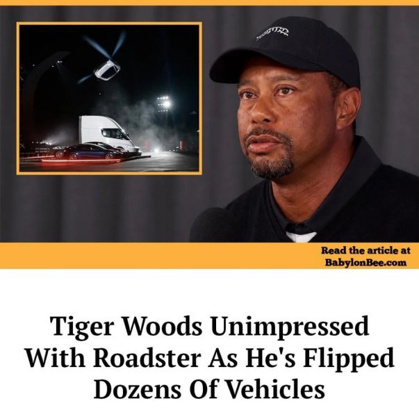 dozen.jpg
