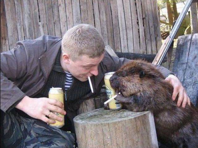 drankin w the beaver.jpg