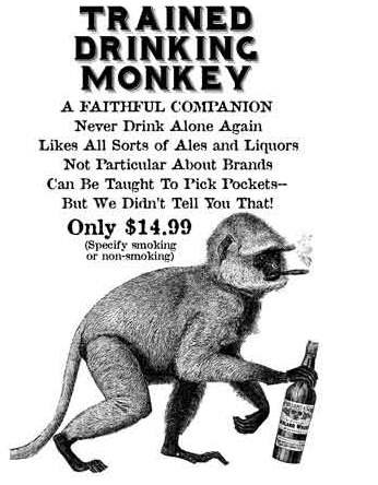 drinking monkey.jpg