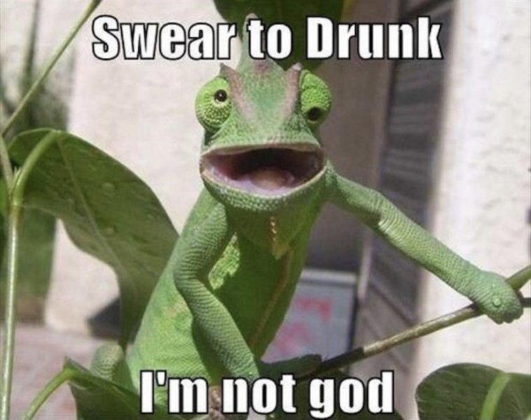 drunk.jpeg