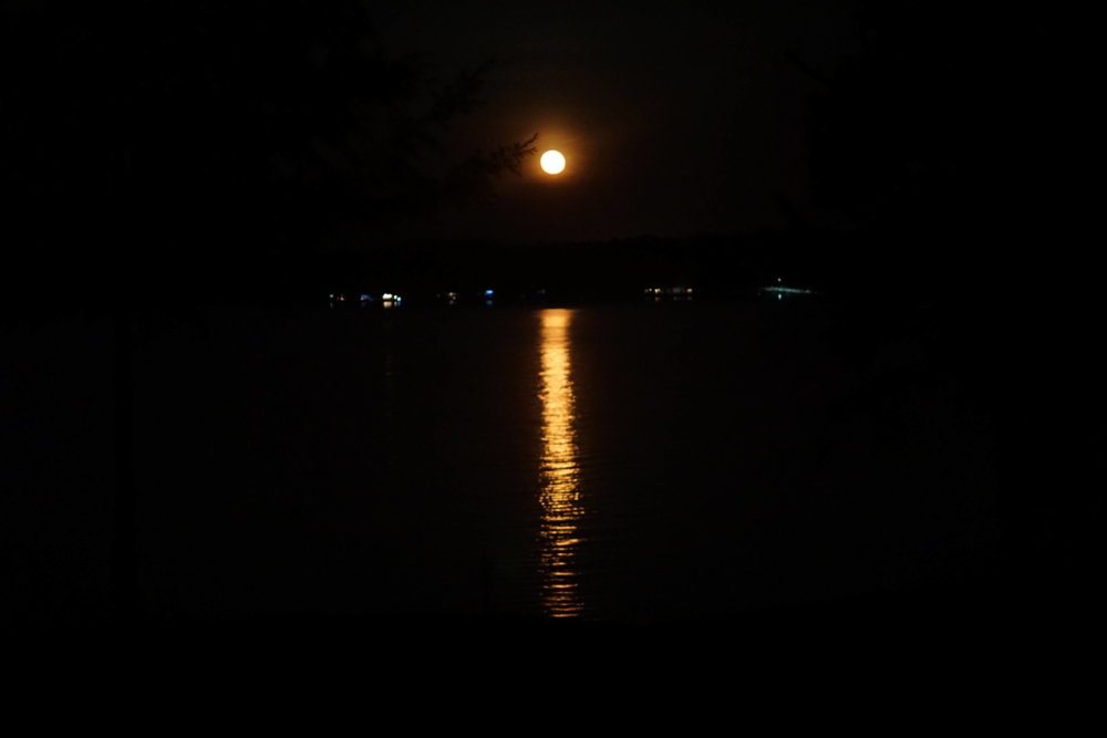 DSC049570001.JPG