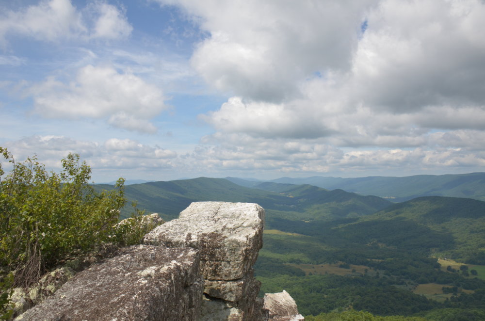 DSC_7284.JPG