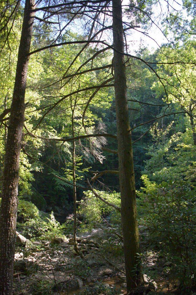 DSC_7415.JPG