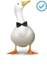 duck.jpg