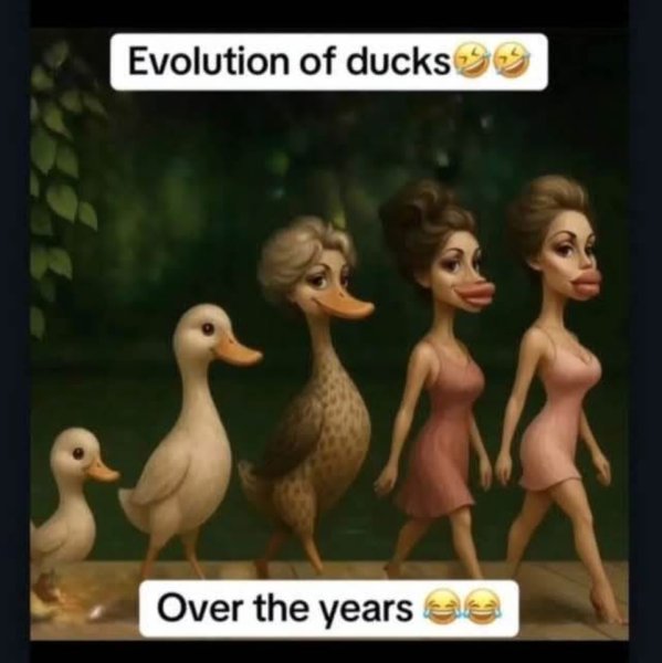 ducks.jpeg