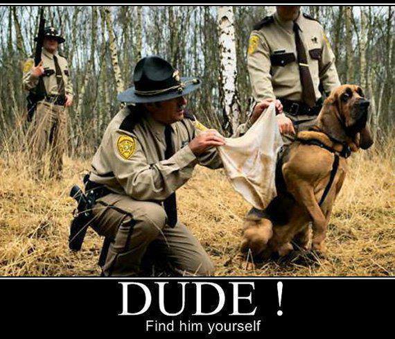 dude.jpg