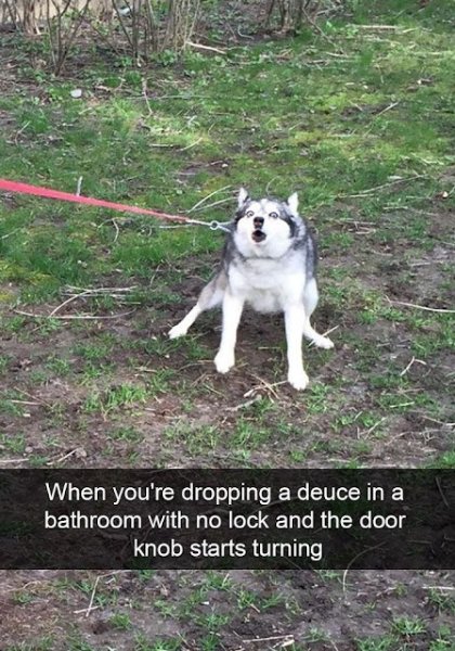 duece.jpeg