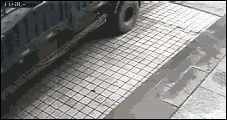 dumbass.gif