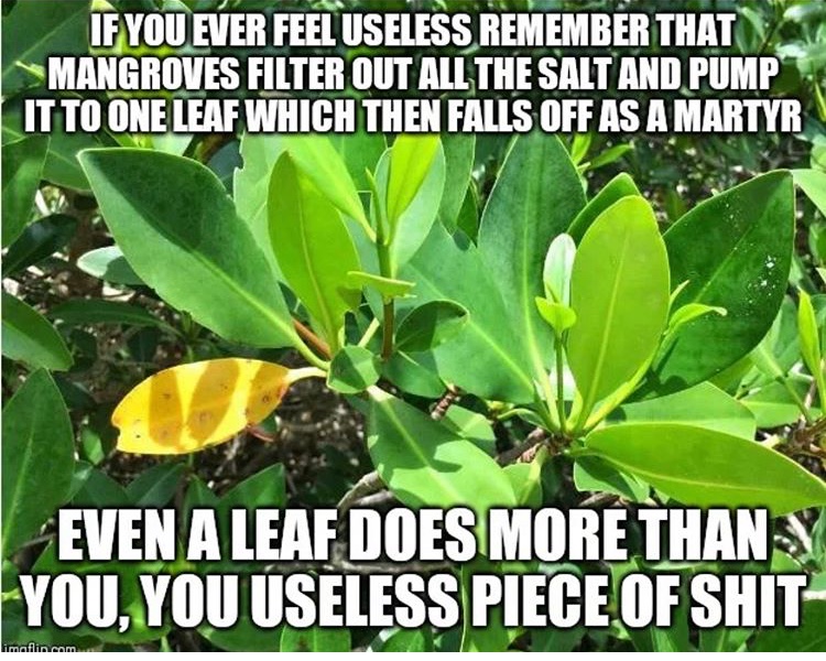 E1078BDF-1FDE-45D2-A347-2E264C6AC9CB.jpeg