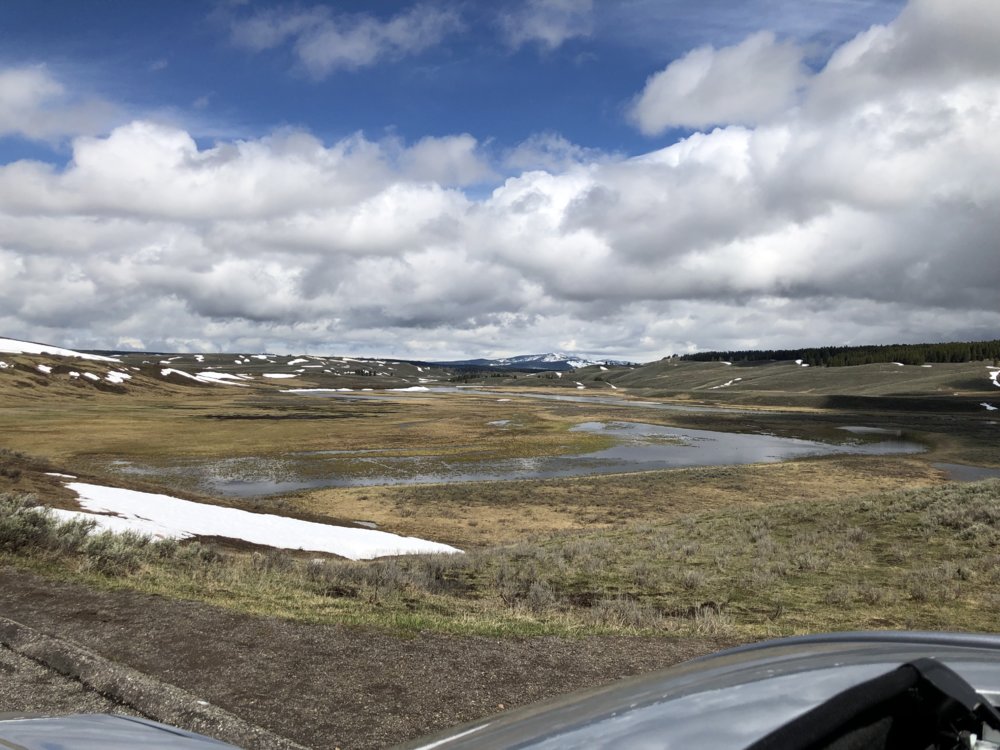 E55EDF8B-1660-42AF-8569-E70D39291662.jpeg