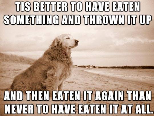 eat it again.jpg