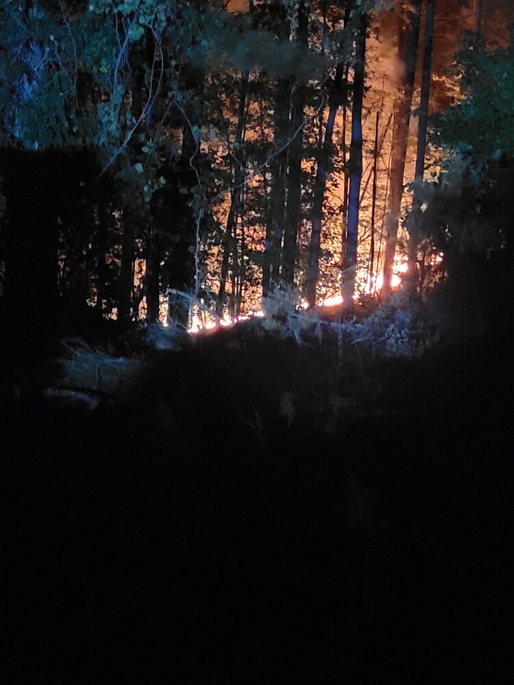 Eden brush fire.jpg