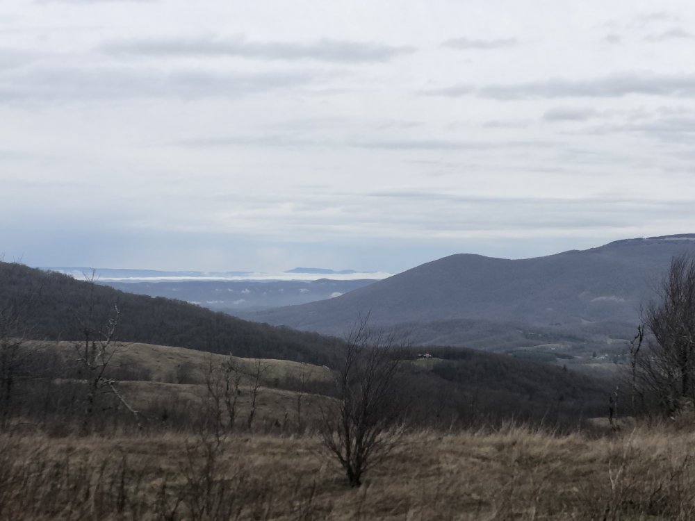 EE796285-6D1D-4501-B3FA-198866C59861.jpeg