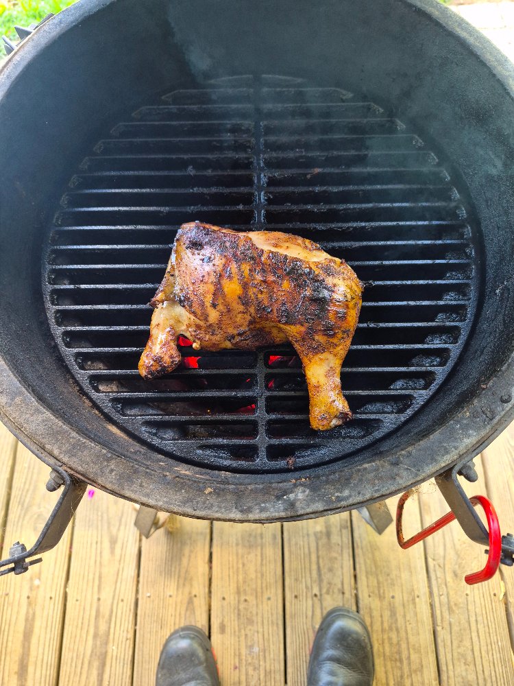 egg chicken.jpg