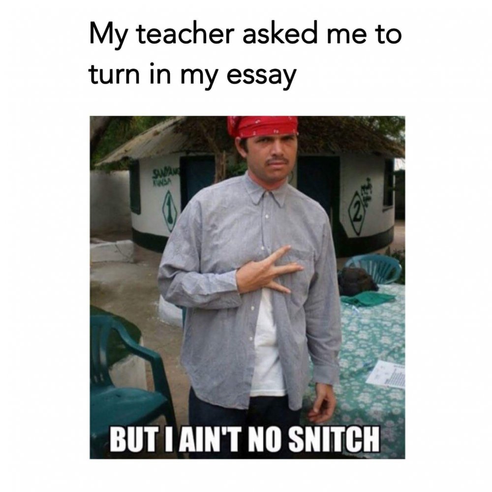 essay.jpg