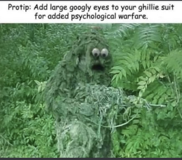eyes.jpeg
