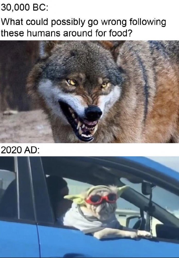 F1DCD287-96E5-4F1D-AAF7-E7ADA3A9E7A0.jpeg
