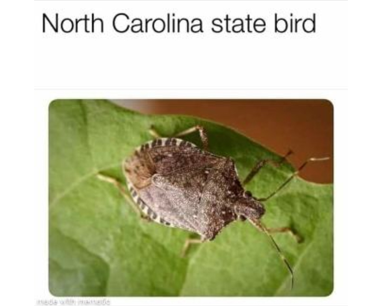 F4779249-0F58-4E9F-AD80-FF9A4331E67B.jpeg