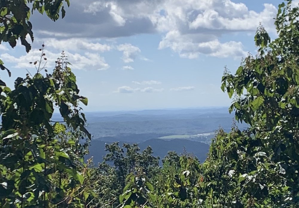 F59131D6-6557-40EA-B1C8-3302C7BF06A0.jpeg